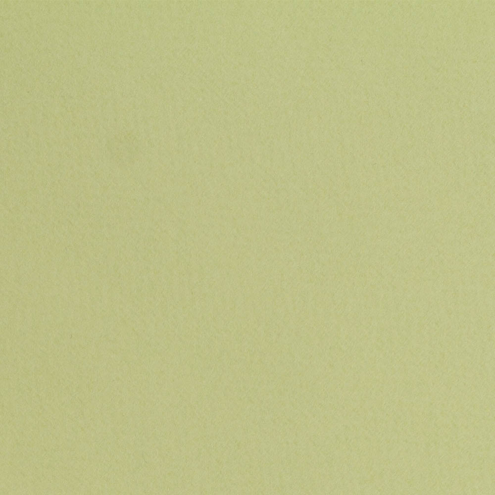 Fabriano, Green, Loose Paper, Art & School, 20"x26", Tiziano, 160gsm, Light, 406908